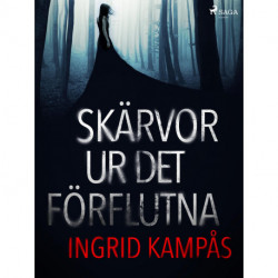 Skärvor ur det förflutna