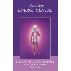 Dine Syv Energi Centre