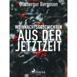 Weihnachtsgeschichten aus der Jetztzeit