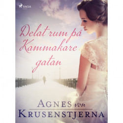 Delat rum på Kammakaregatan