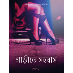 গাড়ীতে সহবাস - একটি আদিরসাত্মক ছোট গল্প