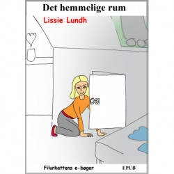 Det hemmelige rum