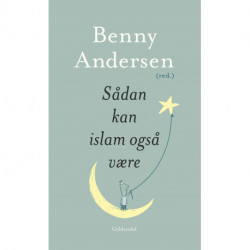 Sådan kan islam også være: Essays