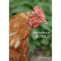Økohønen Rosa