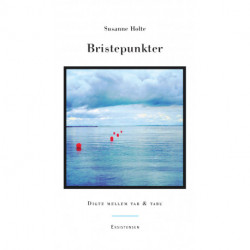 Bristepunkter: Digte mellem tab & tabu