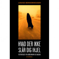 Hvad der ikke slår dig ihjel: reportager fra København og Bagdad