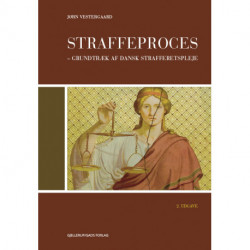 Straffeproces: – grundtræk af dansk strafferetspleje