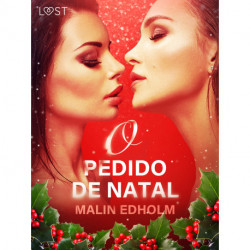 O Pedido de Natal - Conto Erótico