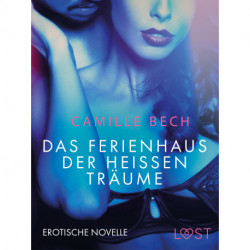 Das Ferienhaus der heißen Träume: Erotische Novelle