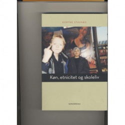 Køn, etnicitet og skoleliv