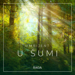 Ambijent - U šumi