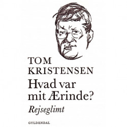 Hvad var mit Ærinde?: Rejseglimt