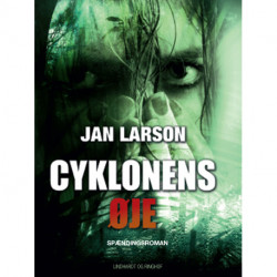 Cyklonens øje
