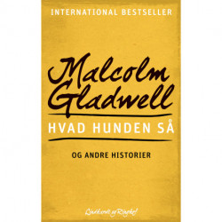 Hvad hunden så - og andre historier