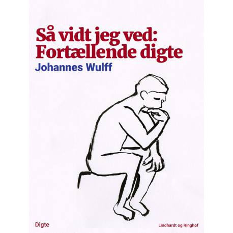 Så vidt jeg ved: Fortællende digte