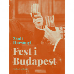 Fest i Budapest