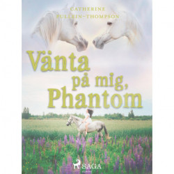 Vänta på mig, Phantom