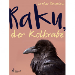 Raku, der Kolkrabe