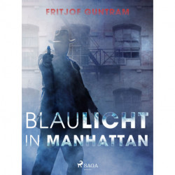Blaulicht in Manhattan