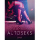 Autoseks - Erootiline lühijutt