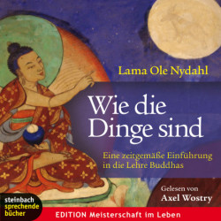 Wie die Dinge sind - Eine zeitgemäße Einführung in die Lehre Buddhas