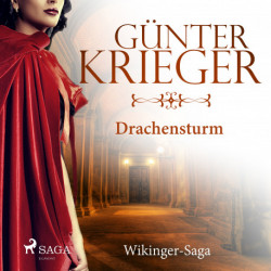 Drachensturm - Wikinger-Saga