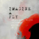 Imagine a fly