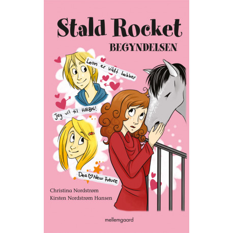 Stald rocket - Begyndelsen