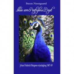 ...Blaae som Paafuglens Bryst: Johan Friderich Bergsøes rejsedagbog 1867-69