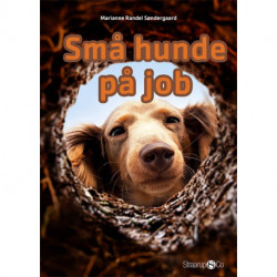 Små hunde på job