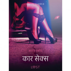 कार सेक्स - एक कामुक लघुकथा