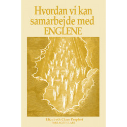 Hvordan vi kan samarbejde med englene