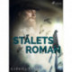 Stålets roman