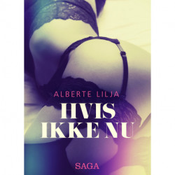 Hvis ikke nu – erotisk roman