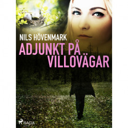 Adjunkt på villovägar