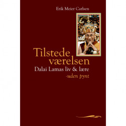 Tilstedeværelsen: Dalai Lamas liv og lære - uden pynt