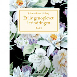 Et liv genoplevet i erindringen, Bind 3