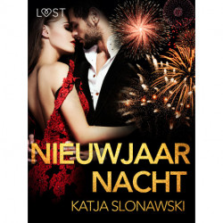 Nieuwjaarsnacht - erotisch verhaal