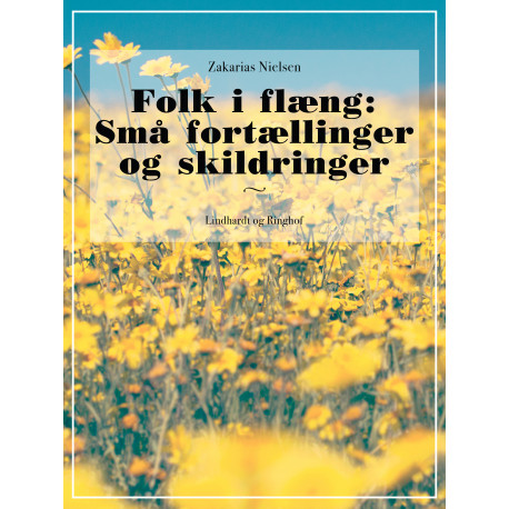 Folk i flæng: Små fortællinger og skildringer