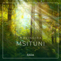 Mazingira - Msituni
