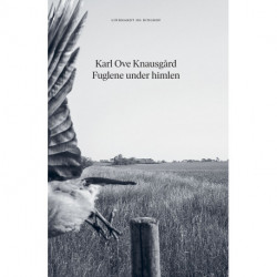 Fuglene under himlen