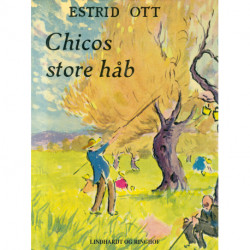 Chicos store håb