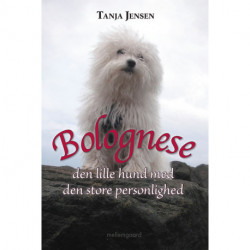 Bolognese: den lille hund med den store personlighed