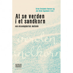 Det metodologiske begreb om det eksemplariske