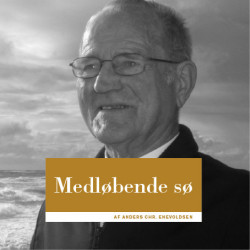 Medløbende sø
