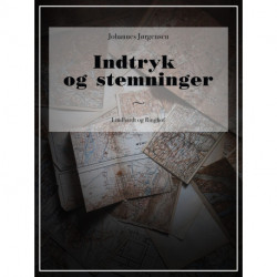Indtryk og stemninger