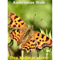 Den kedsom vinter