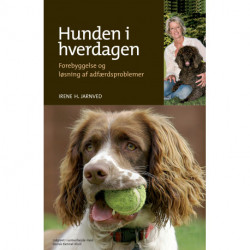 Hunden i hverdagen