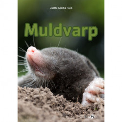 Muldvarp