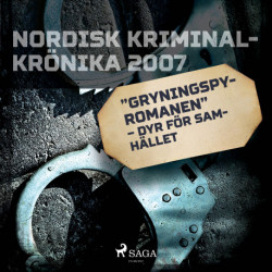 &quot-Gryningspyromanen&quot- – dyr för samhället